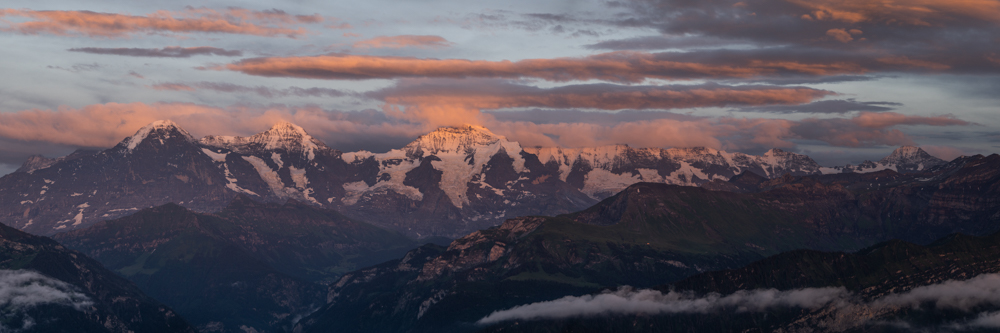 Tierfotos Beispiele mit der Nikon Z9 und dem 70-200mm 2.8.